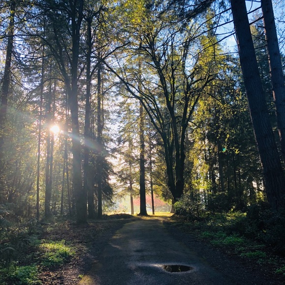 Meet your Posher, Barina - Picture 4 of 4